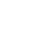 Collect Incident Data