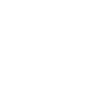 Define Agile Vision and Objectives
