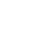 Conduct Internal Audit