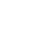 Establish Data Governance Organization