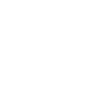 Perform Management Review