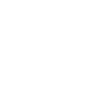 Support Implementation Process