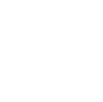 Assessment Current IT Maturity
