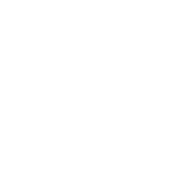 Network service test