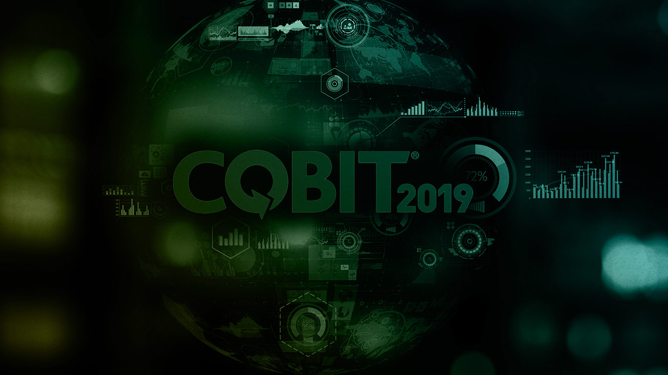 Effective Maturity and Capability Level Assessment Using COBIT®