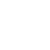 Identifying, assessing, and mitigating IT risks.