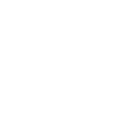 Conduct Internal Audit